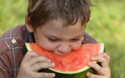 Huck Fest Bingen, Washington