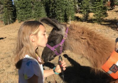 llama hike llama kiss